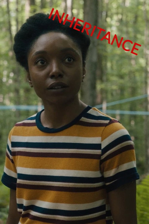 Movie poster for Inheritance (2021)