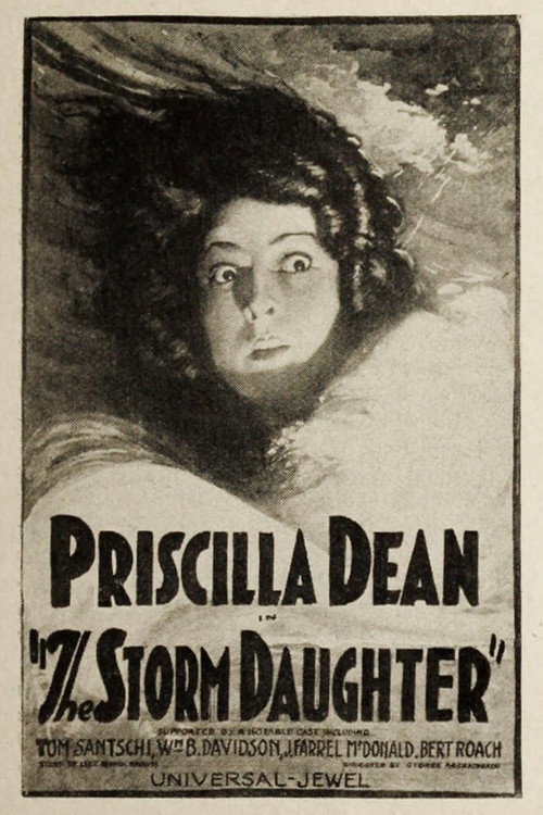 Movie poster for The Storm Daughter (1924)