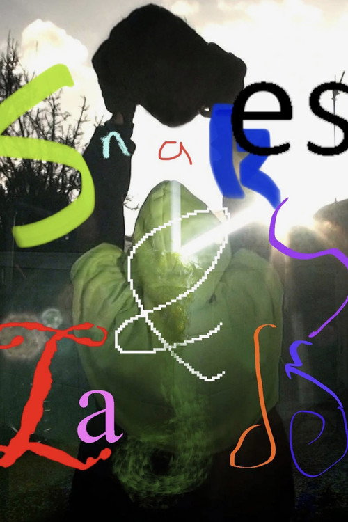 Movie poster for Snakes & Ladders (2023)