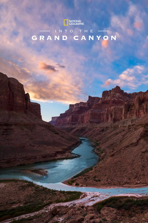 Movie poster for Into the Grand Canyon (2019)