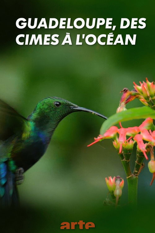 Movie poster for Guadeloupe, from Summits to Ocean (2019)
