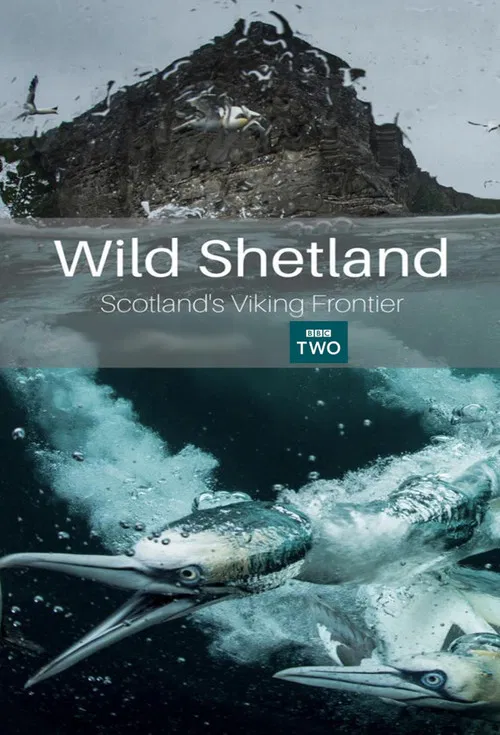 Movie poster for Wild Shetland: Scotland's Viking Frontier (2019)