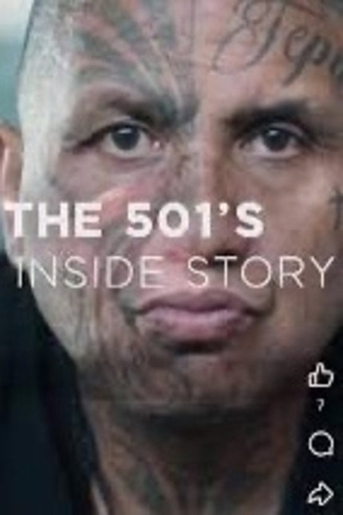 Movie poster for The 501s: An Inside Story