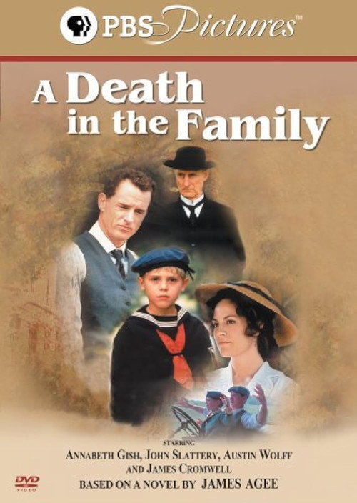 Movie poster for A Death in the Family (2002)