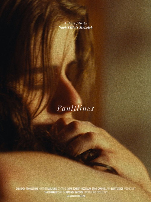 Movie poster for FAULTLINES