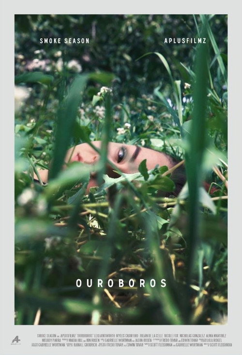 Movie poster for Ouroboros (2015)