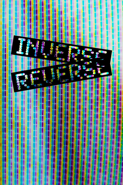 Movie poster for Inverse Reverse (2010)
