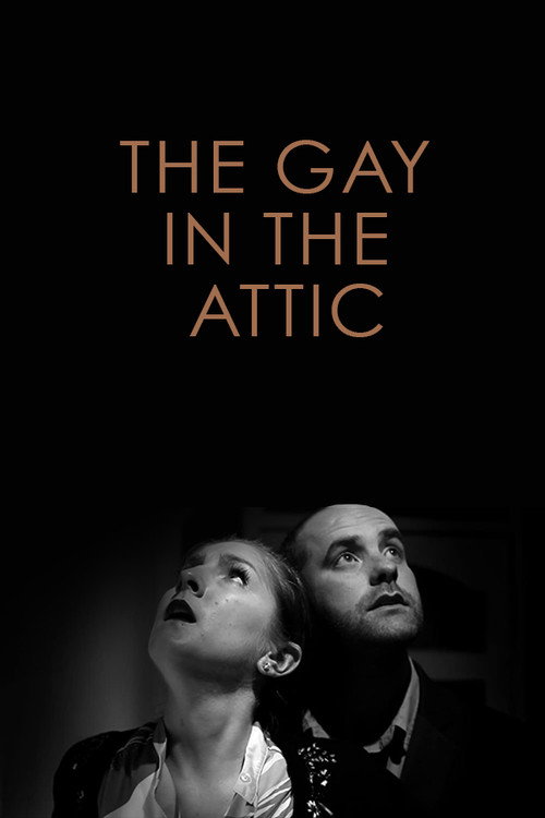 Movie poster for The Gay in the Attic (2011)
