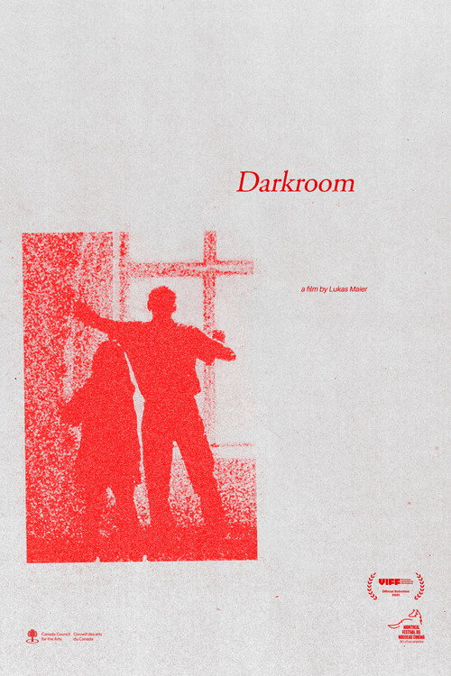 Movie poster for Darkroom (2021)