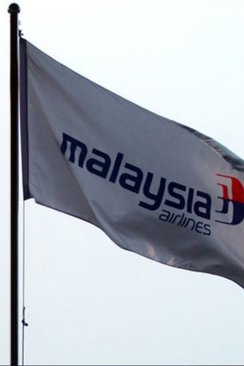 Movie poster for The Disappearance of Flight MH370