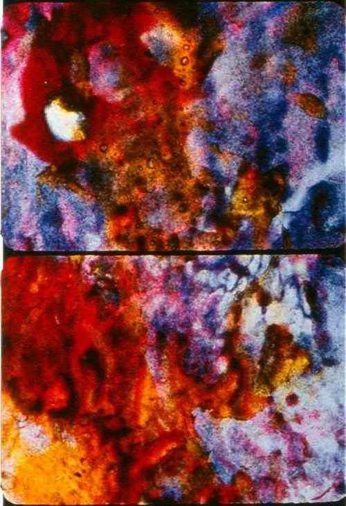 Movie poster for Ascension (2002)