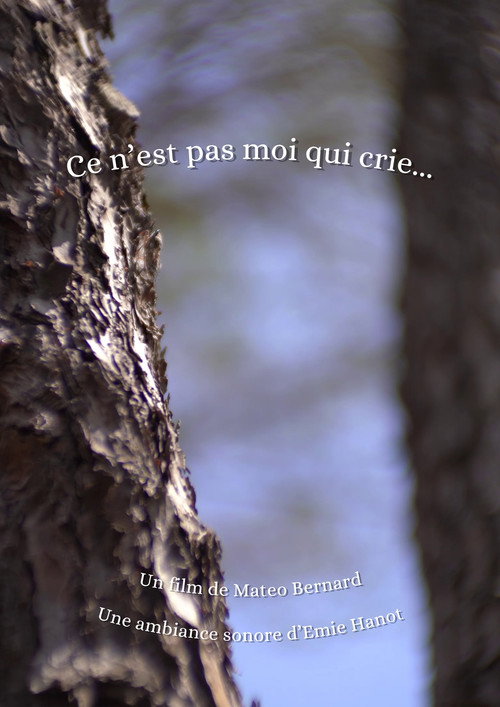 Movie poster for Ce n'est pas moi qui crie... (2026)