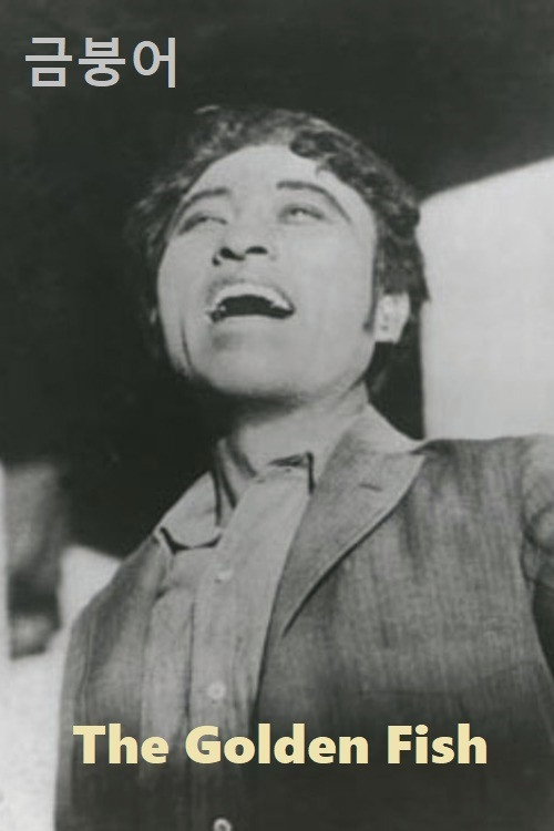 Movie poster for The Golden Fish (1927)