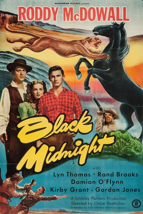 Movie poster for Black Midnight (1949)