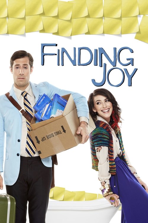Movie poster for Finding Joy (2013)