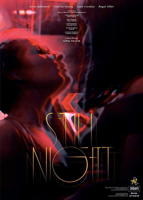 Movie poster for Still Night (2018)
