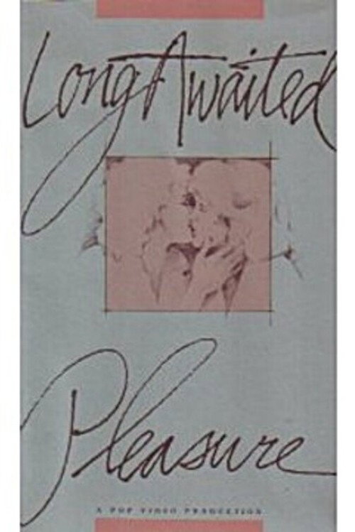 Movie poster for Long Awaited Pleasure (1989)