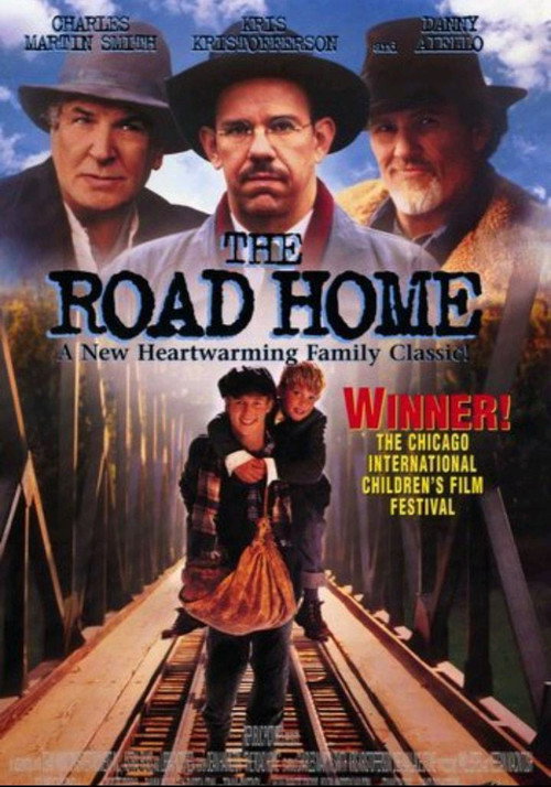 Movie poster for Brothers' Destiny (1995)