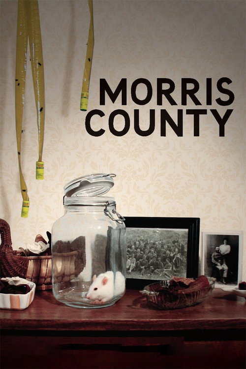 Movie poster for Morris County (2009)