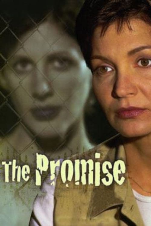 Movie poster for The Promise (1999)