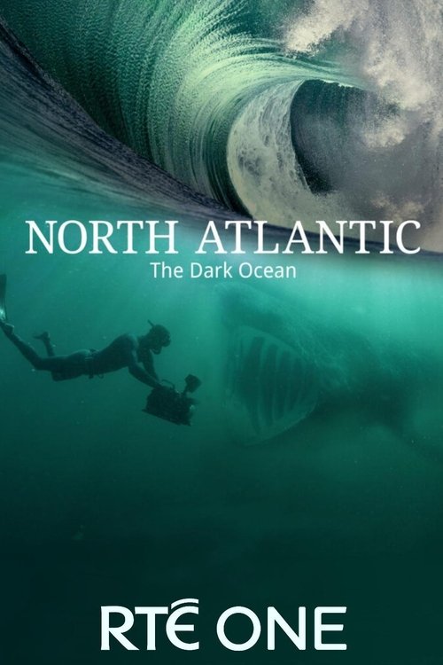 North Atlantic: The Dark Ocean poster