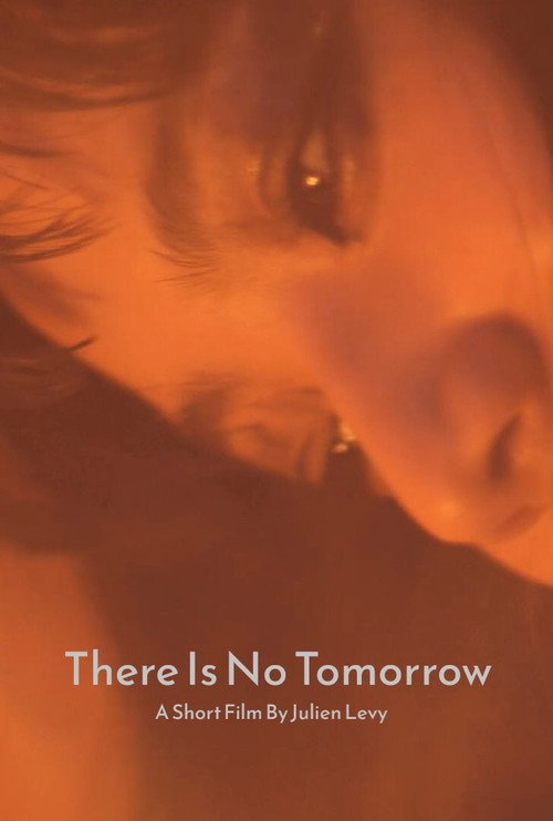 Movie poster for There Is No Tomorrow (2016)