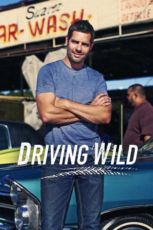 Series poster for Driving Wild