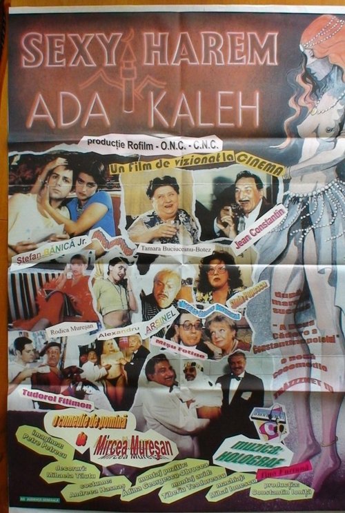 Movie poster for Sexy Harem Ada-Kaleh (2001)