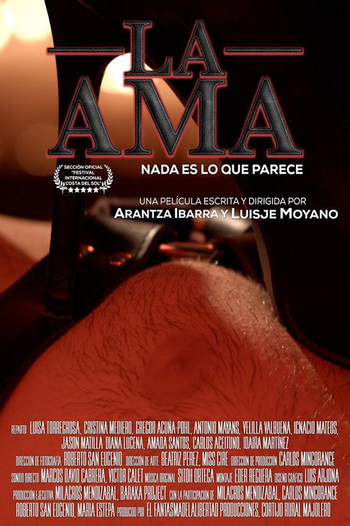 Movie poster for La Ama (2015)