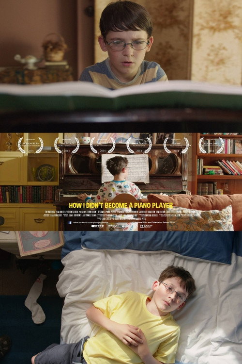 Movie poster for How I Didn't Become a Piano Player (2014)