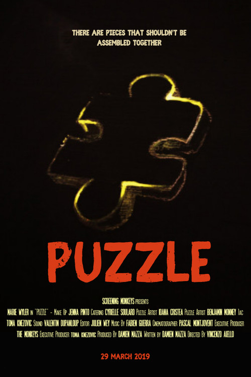 Movie poster for Puzzle (2019)