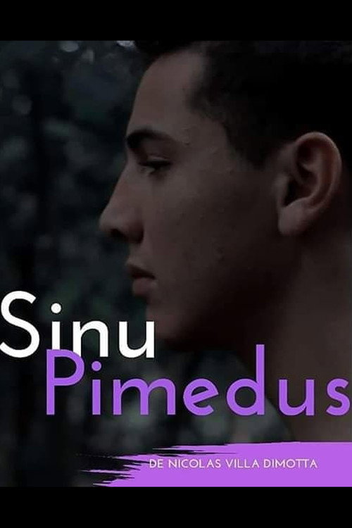 Movie poster for Sinu Pimedus (2019)