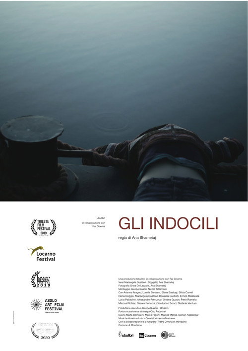 Movie poster for Gli indocili (2019)