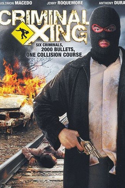 Movie poster for Criminal Xing (2007)