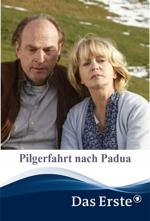 Movie poster for Pilgerfahrt nach Padua (2011)