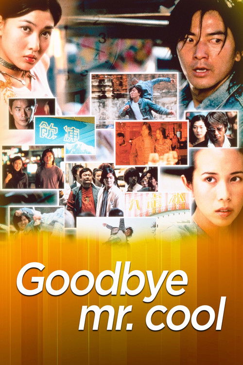 Movie poster for Goodbye, Mr. Cool (2001)