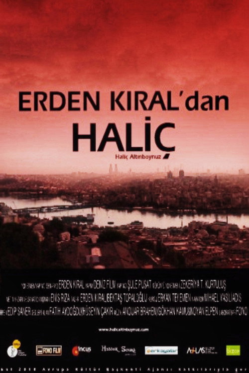 Movie poster for Haliç (2010)