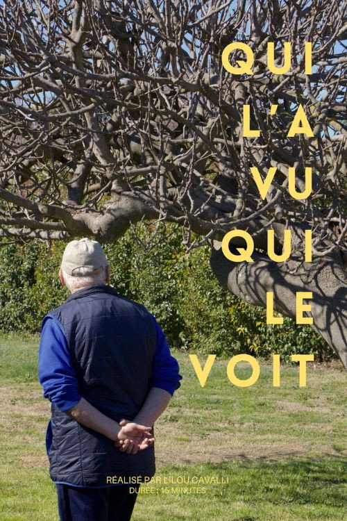 Movie poster for Aramon, qui l'a vu qui le voit (2025)