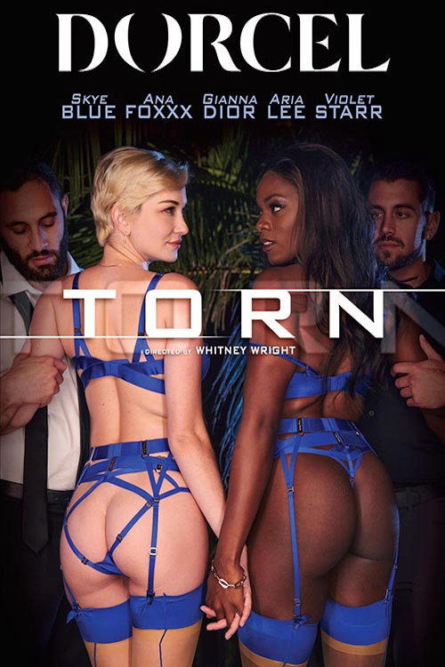 Movie poster for Torn (2022)