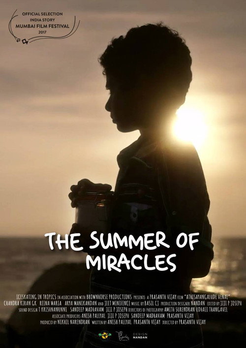 Movie poster for The Summer of Miracles (2017)