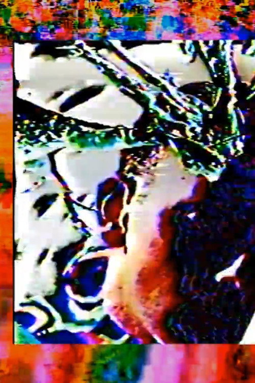 Movie poster for Flesh Intolerance: Final Transmission For Terrestrial Vertical Incarceration (A hyperstition) (2019)
