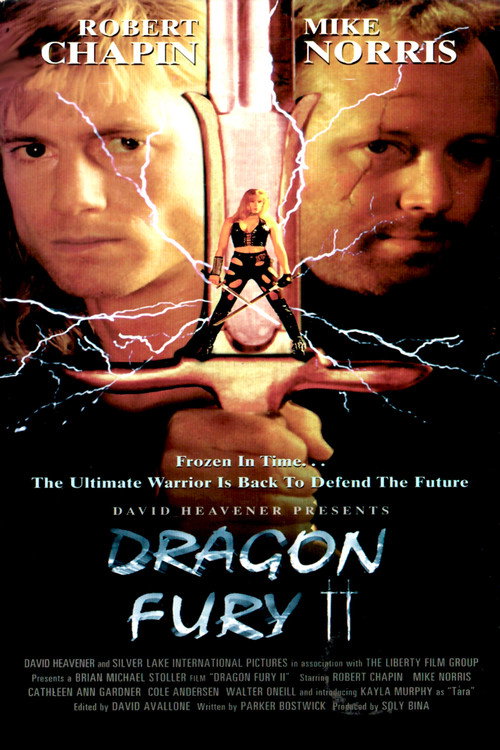 Movie poster for Dragon Fury II (1996)