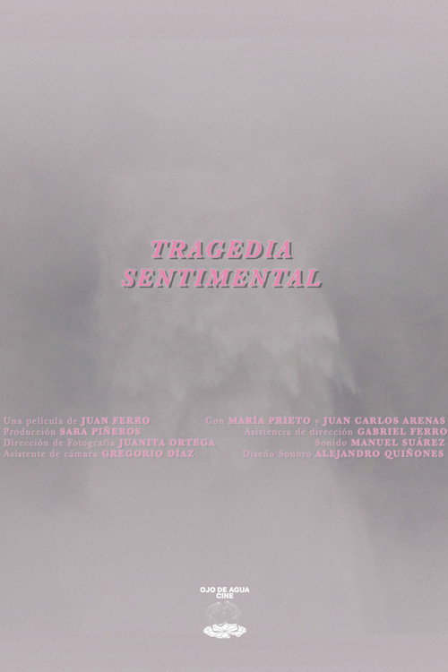 Movie poster for A Sentimental Tragedy (2025)