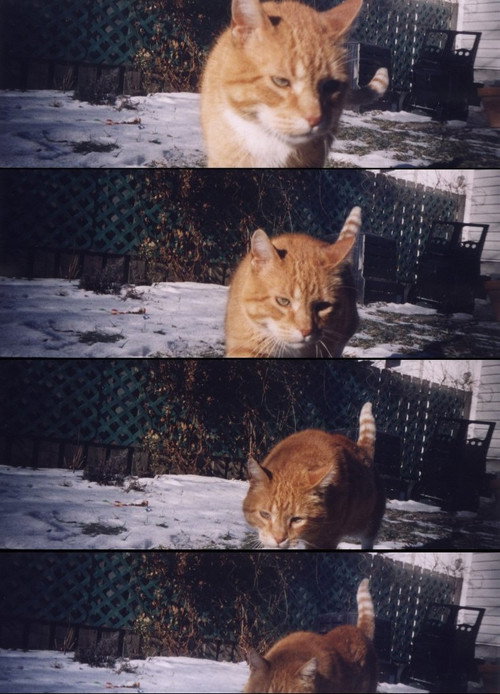 Movie poster for Nobody Knows (2002)