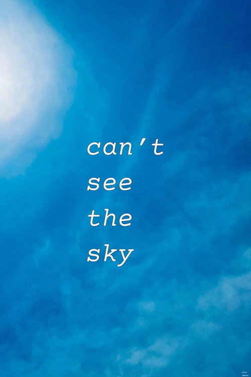 Movie poster for Can’t See The Sky (2024)