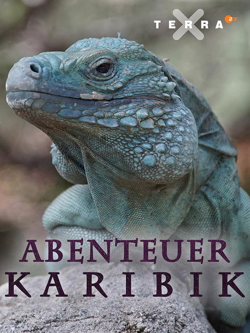 Movie poster for Abenteuer Karibik (2017)