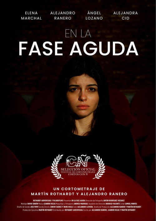 Movie poster for At the Crucial Phase (2025)