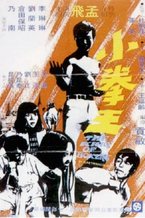 Movie poster for The King of Boxers (1972)