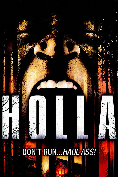 Movie poster for Holla (2006)