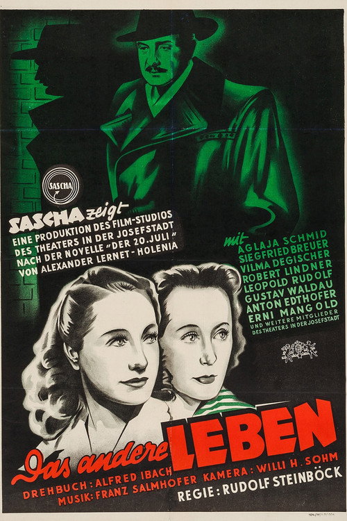 Movie poster for The Other Life (1948)
